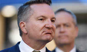 Utes and 4WDs set to have lower NVES targets following extensive industry pushback